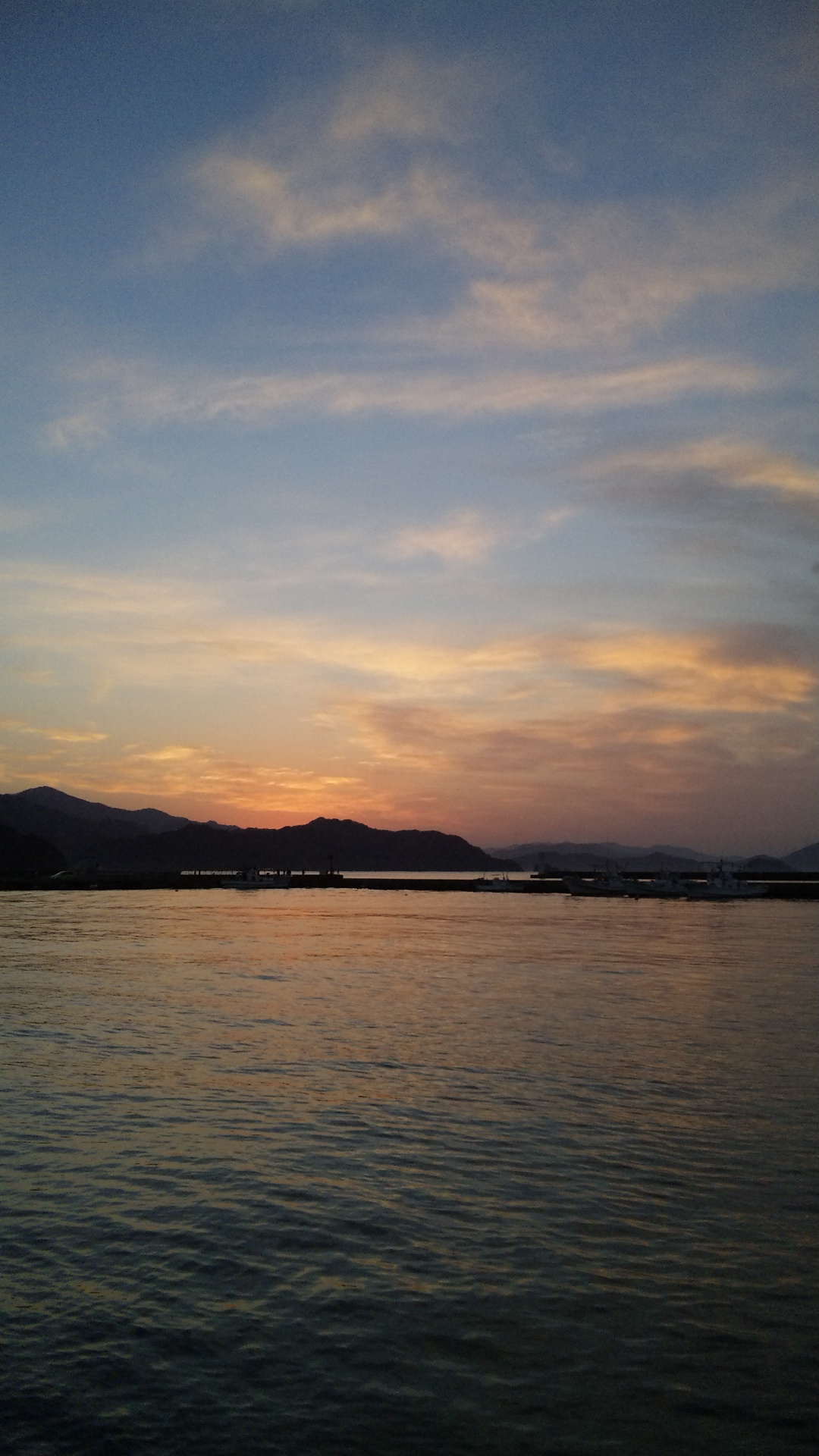 DVC00110.jpg