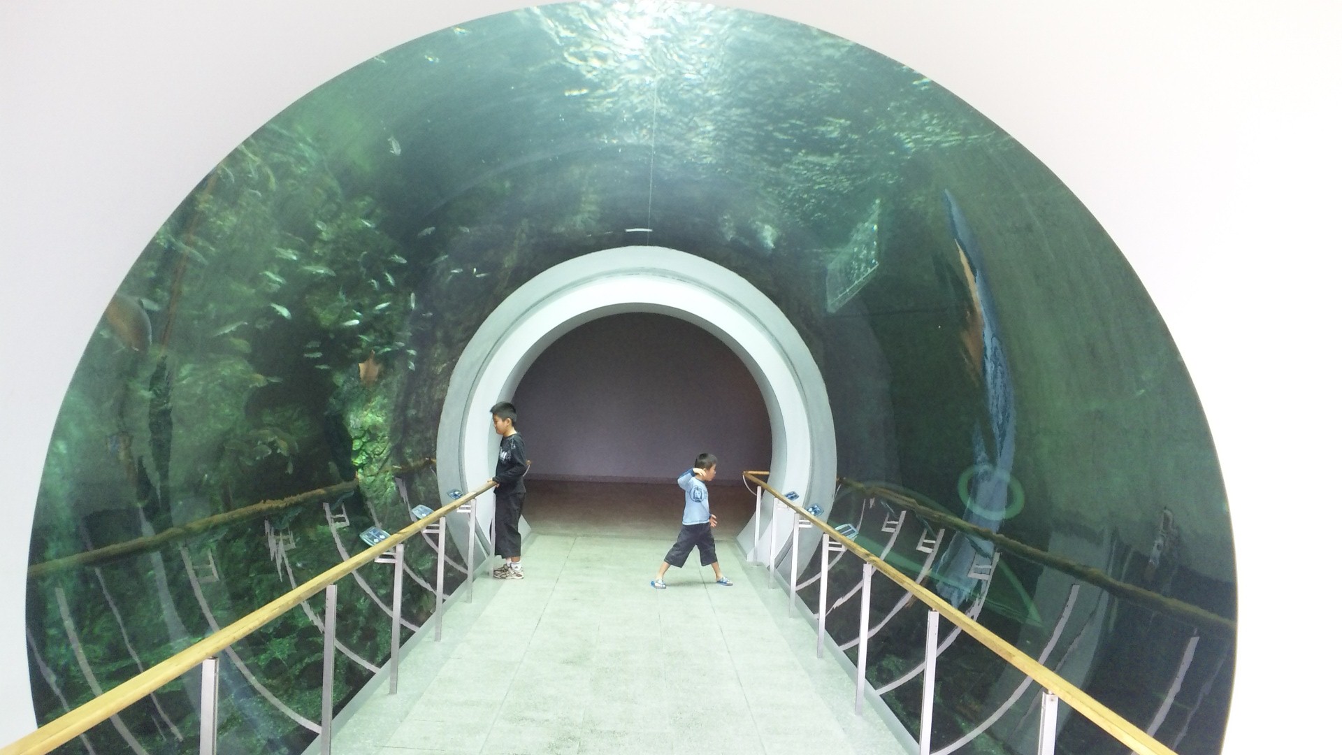 DVC00170.jpg