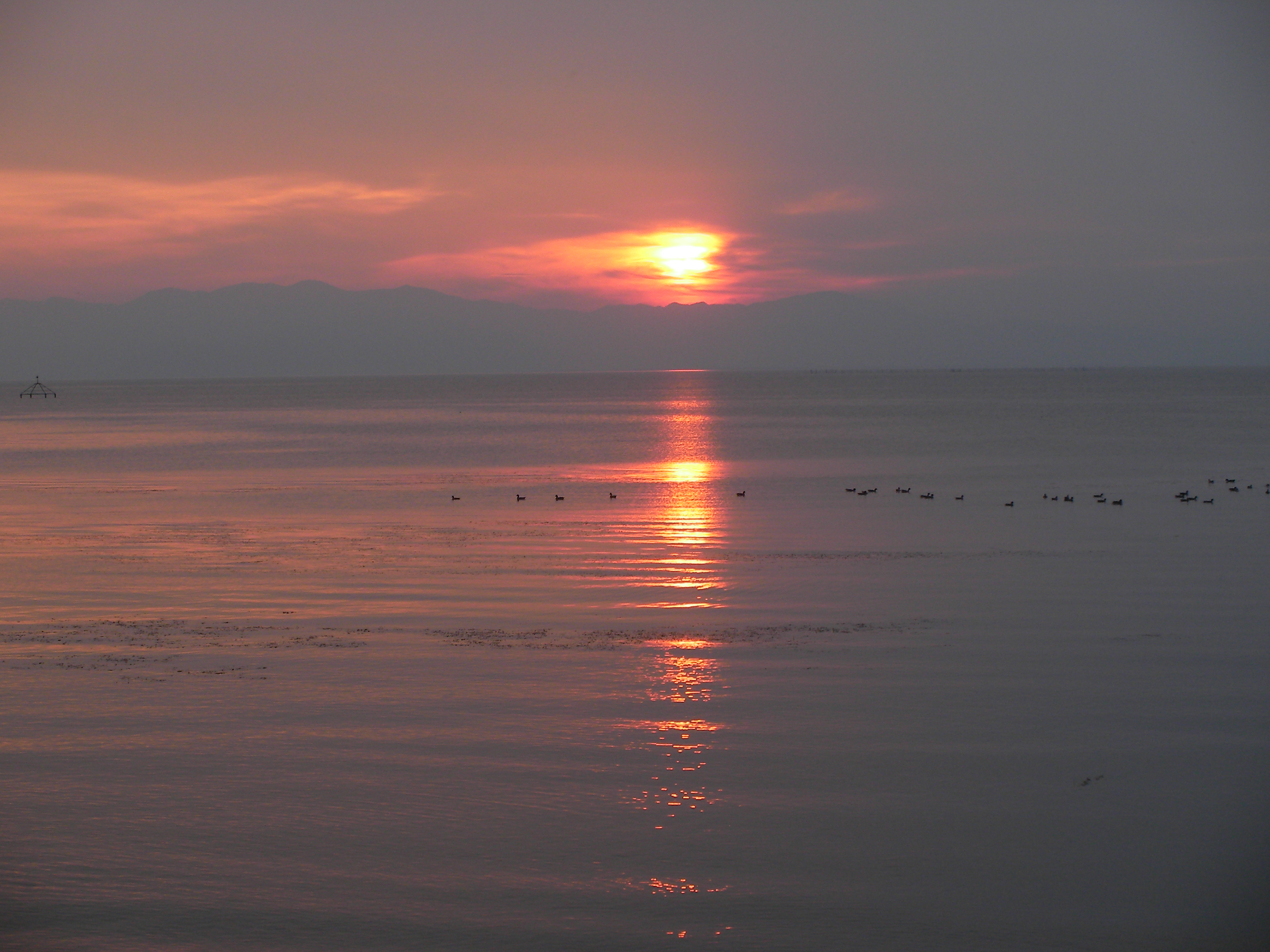 夕陽