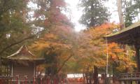 111123_1601~01.jpg
