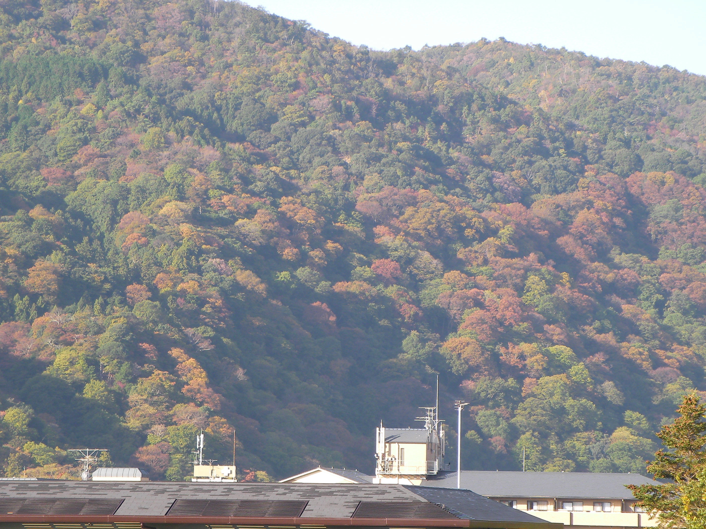 嵐山２