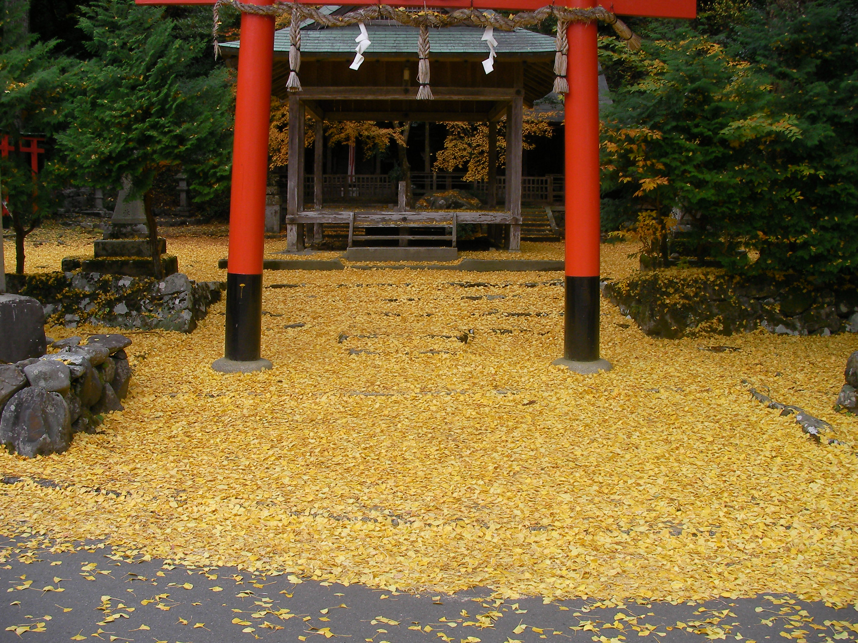 京北