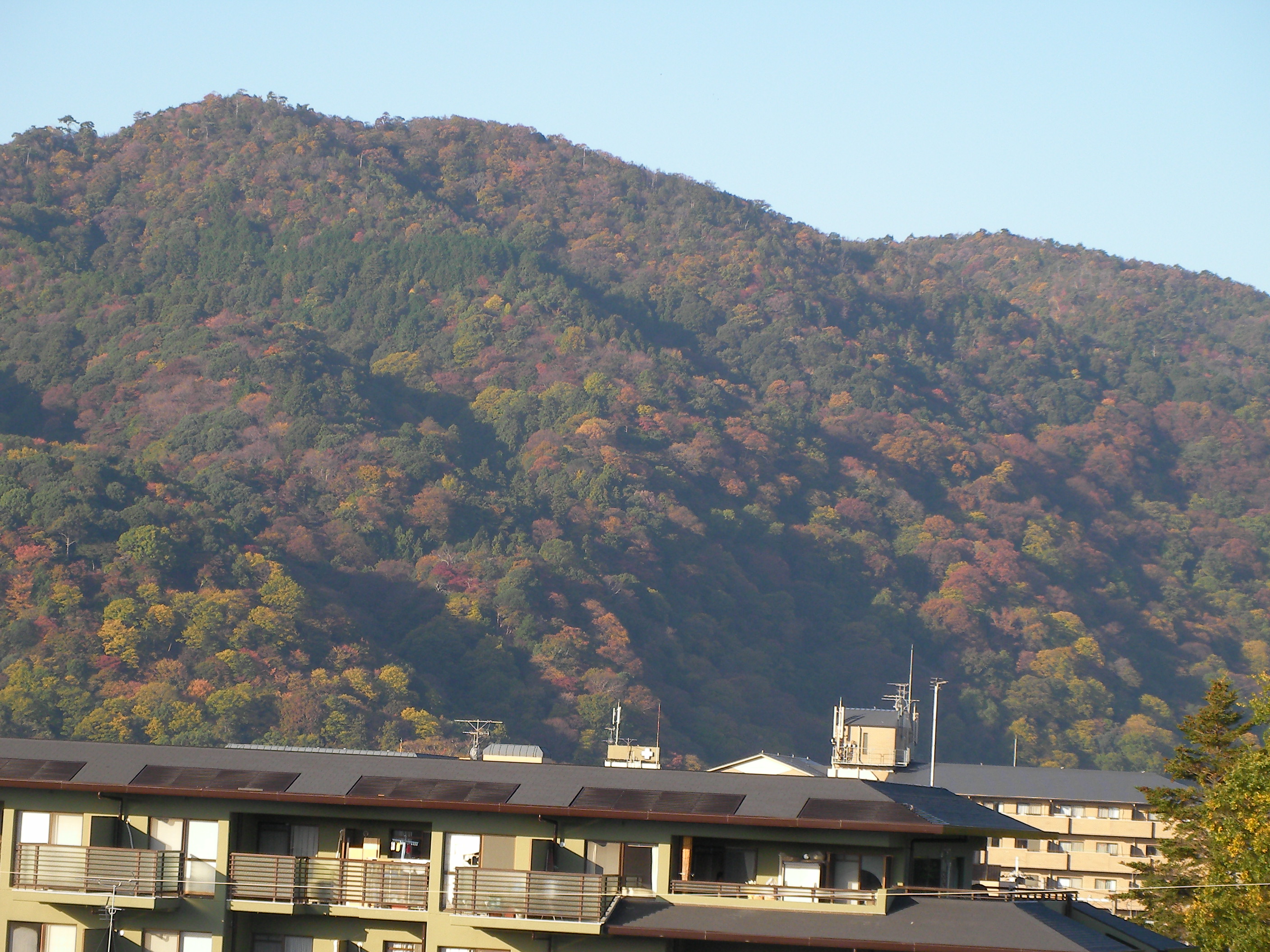 嵐山