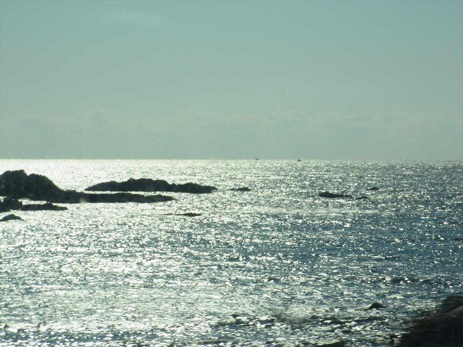 RIMG0008.JPG