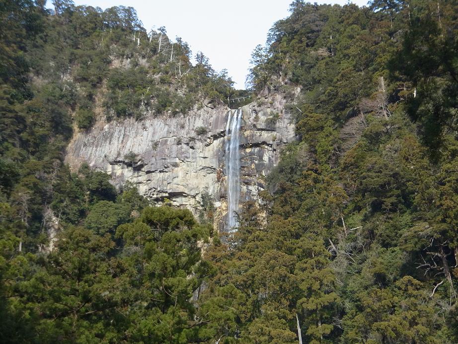 RIMG0087.JPG